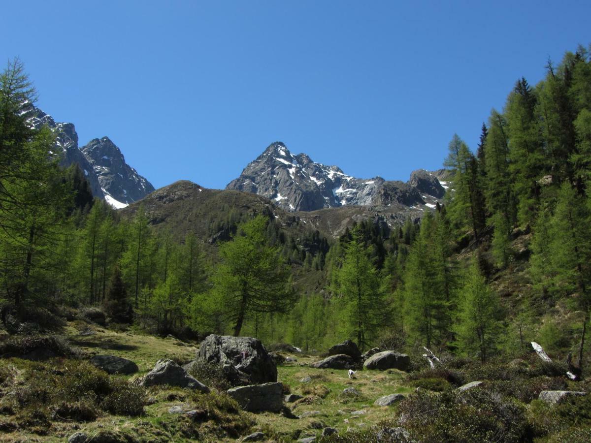 Апартаменты Berghaus Glockner, Niedermeyer Хайлигенблут Экстерьер фото